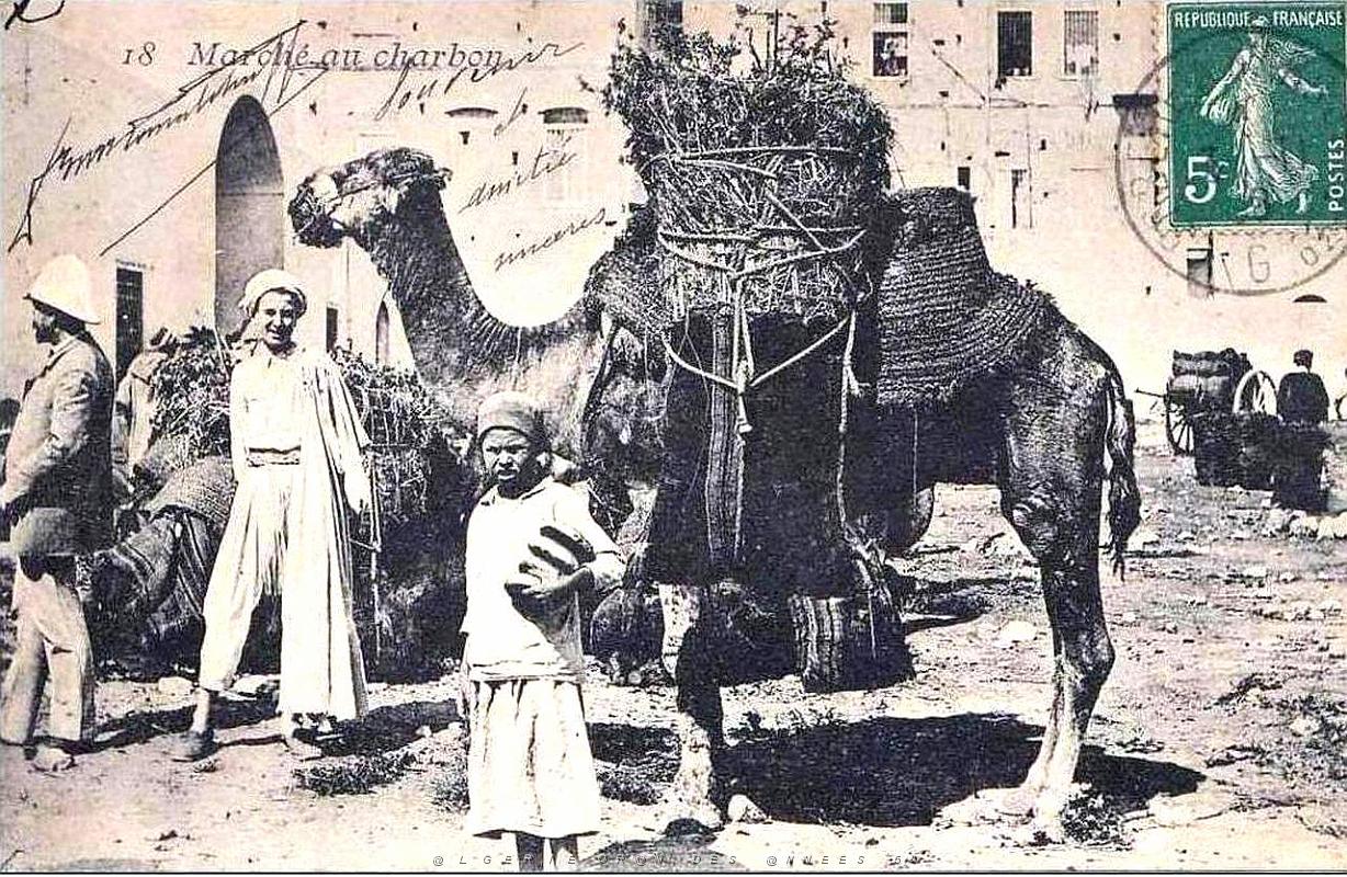 Sud oranais 11.jpg